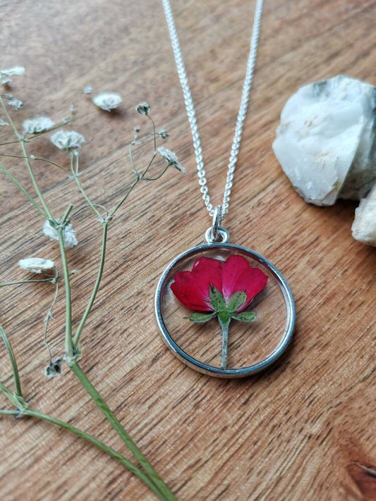 Personalised Valentines day Real pressed rose botanical terrarium flower pendant necklace, Gold or Silver,  June birth flower