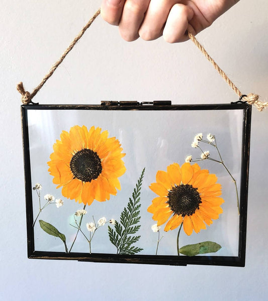 Real pressed dried flower botanical glass hanging wall frame, rustic cottage wall decor, farmhouse decor, herbarium wall art, sunflower 7x5"