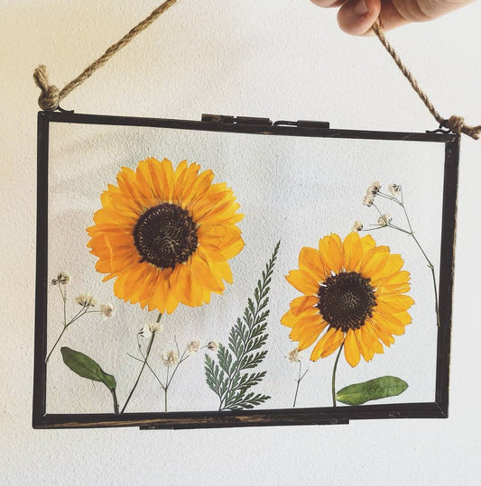Real pressed dried flower botanical glass hanging wall frame, rustic cottage wall decor, farmhouse decor, herbarium wall art, sunflower 7x5"
