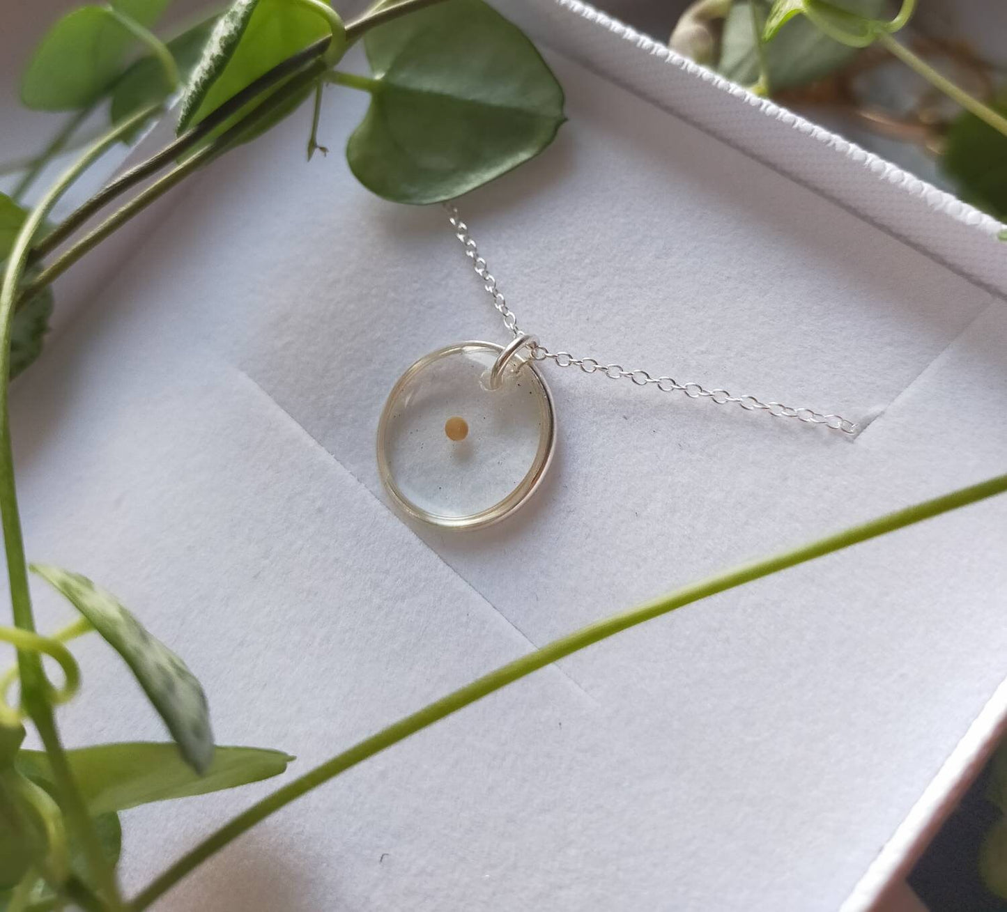 Real Mustard seed faith necklace on 925 silver or silver plated chain. For Faith, Humble beginnings, fertility. Personalised jewellery