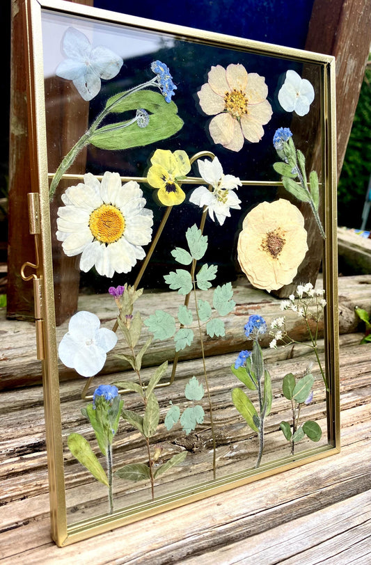 Real pressed dried forget me not flower botanical glass standing frame, rustic cottage,  farmhouse decor, herbarium wall art - rare find