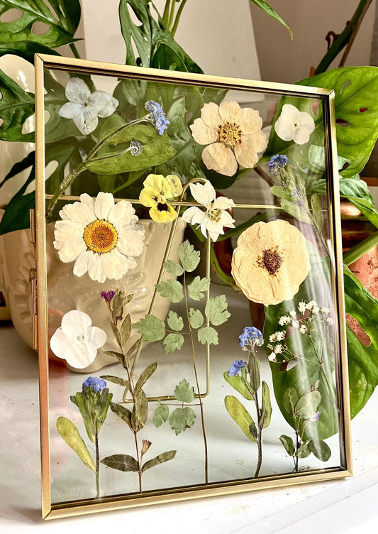 Real pressed dried forget me not flower botanical glass standing frame, rustic cottage,  farmhouse decor, herbarium wall art - rare find