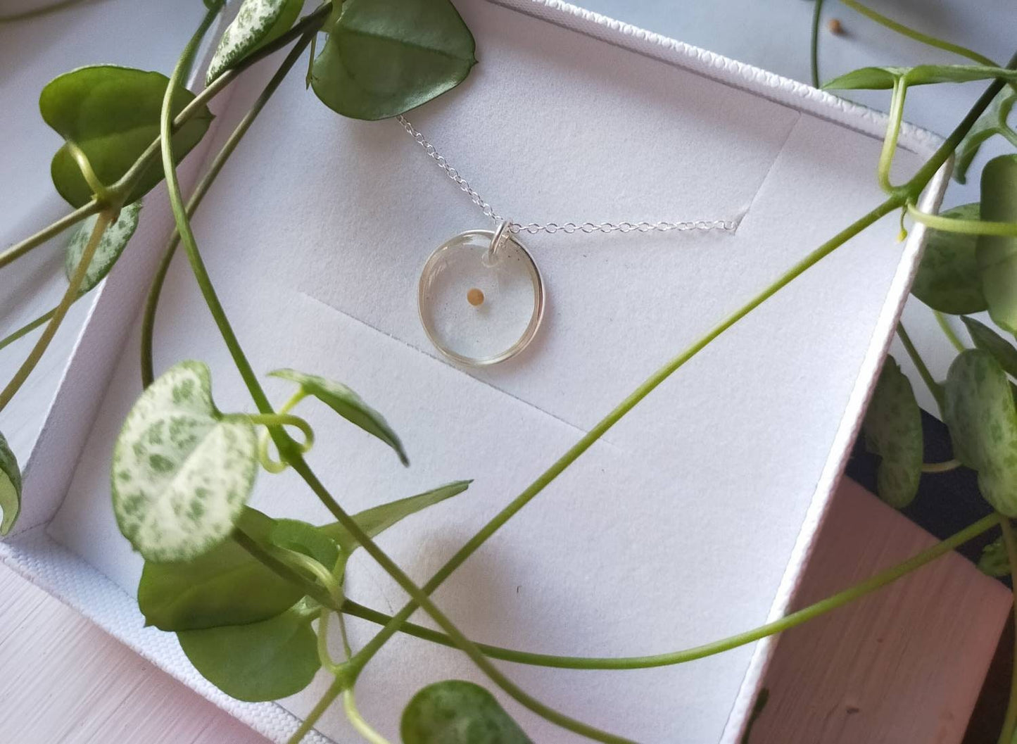 Real Mustard seed faith necklace on 925 silver or silver plated chain. For Faith, Humble beginnings, fertility. Personalised jewellery