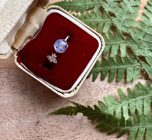 Silver ring with a blue gemstone in a red velvet box on a wooden surface with green leaves.